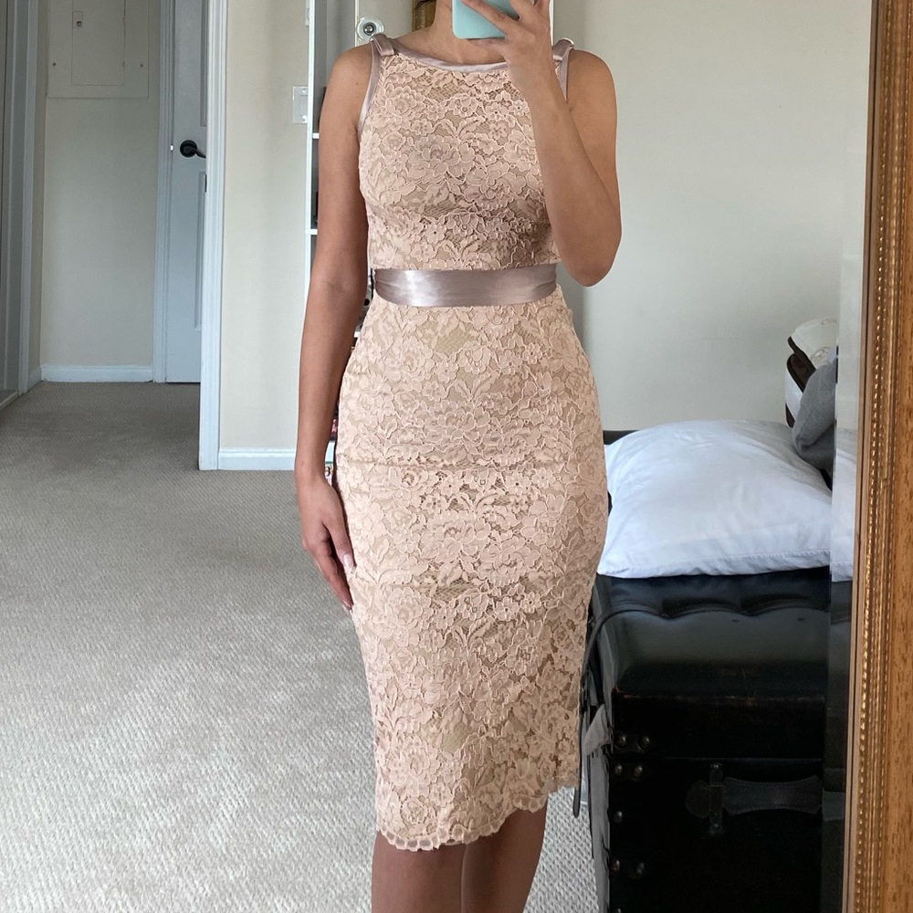 Blush Lace Dress